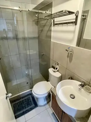a bathroom with a shower and a toilet and a sink at Céntrico departamento in Lima