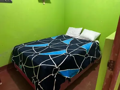 a bed in a green room with a blue and white comforter at Hospedaje MARY in Quinua