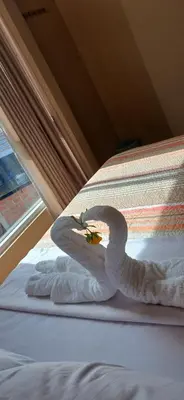 a swan made out of towels sitting on a bed at Haylli Café Oro Hotel in Santa Teresa