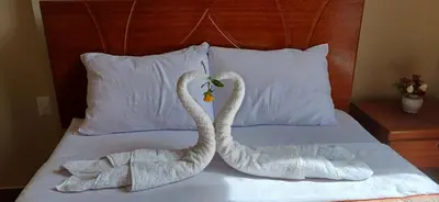 two swans made out of towels on a bed at Haylli Café Oro Hotel in Santa Teresa