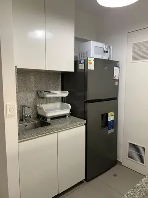 a kitchen with a refrigerator and a sink at Departamento céntrico rodeado de áreas verdes in Lima