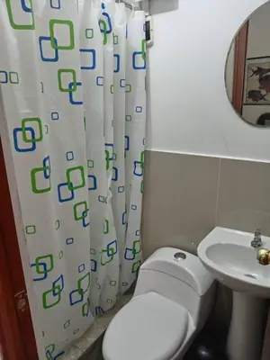 a bathroom with a white toilet and a sink at Mi lagartitas Bungalow in Oxapampa
