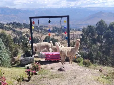 Gallery image of Altipacha Valley Q Lodge in Quinua