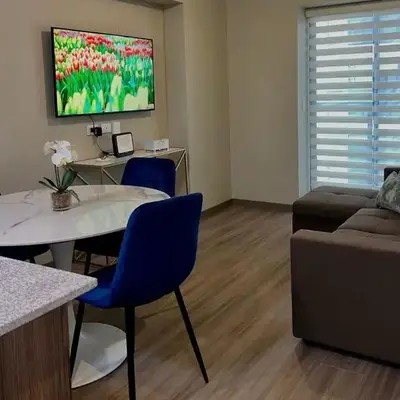 Luxurious brand new apartment