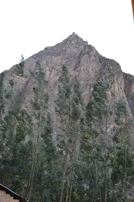 a mountain with trees on the side of it at Cabaña rodeada de naturaleza en Ollantaytambo in Ollantaytambo