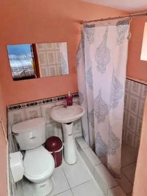 a bathroom with a toilet and a sink at Mini departamento 2 camas en el centro in Cusco