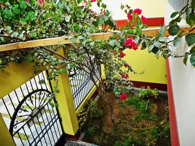 a garden with a gate and red flowers at Hostal Geminis in Ica