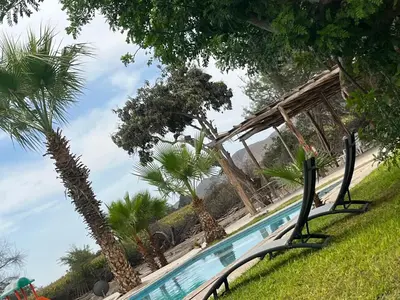 a swimming pool with palm trees and a slide at Babylon Mansion in Nazca