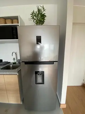 a stainless steel refrigerator in a kitchen with a plant at VIP Apartment TORRE TEMPO in Lima