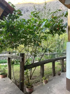 a wooden fence with a tree in a field at Bed and Breakfasts - Ollantaytambo by ViaHero in Ollantaytambo