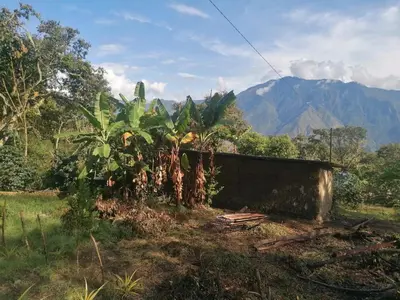 a house in a field with mountains in the background at Jungle Lodge Quillabamba All included