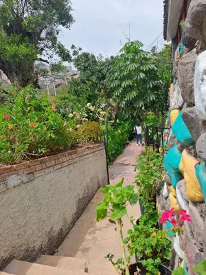 a walkway next to a stone wall with flowers at Casa Jardin in Ayacucho