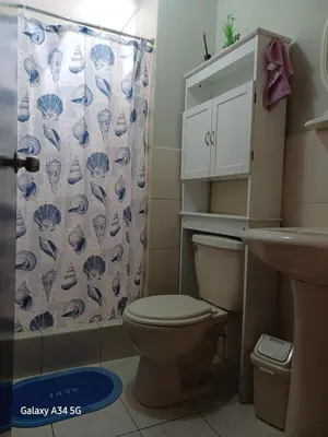 a bathroom with a toilet and a shower curtain at Cómodo departamento familiar in Lima