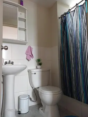 a bathroom with a toilet and a shower curtain at Cómodo departamento familiar in Lima