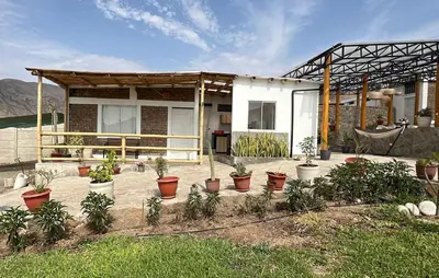 a house with potted plants in front of it at Casa campo vista linda in Mala