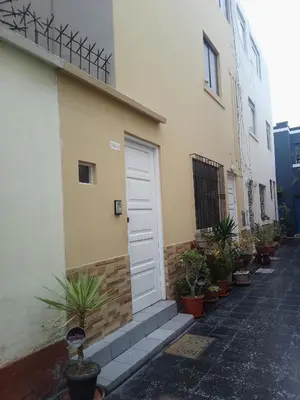 a white door on the side of a building with potted plants at Cuchos in Lima