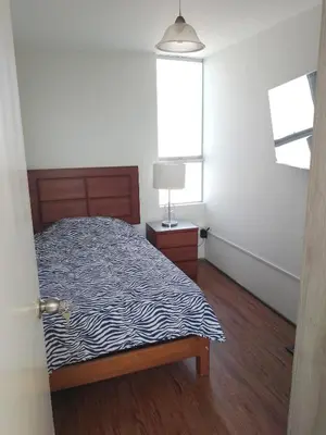 a bedroom with a zebra print bed and a window at Miraflores, Lima, mini apartamento 2 ambientes in Lima
