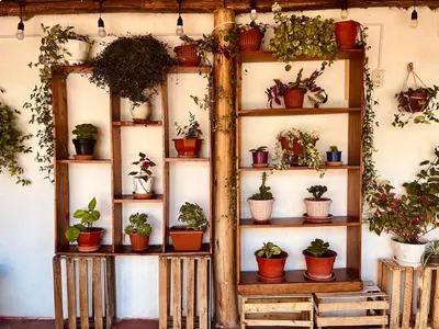 a shelf filled with lots of potted plants at La Huerta Refugio in Urubamba