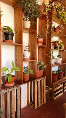 a display of potted plants on wooden shelves at La Huerta Refugio in Urubamba