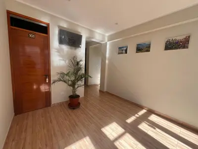 a hallway with a door and a potted plant at Don Rafael - Hotel