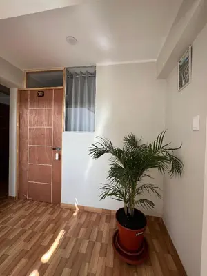 a potted plant in a room with a door at Don Rafael - Hotel