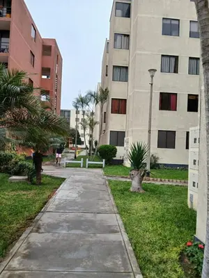 a sidewalk in front of a building with palm trees at Habitación acogedora amoblada in Lima