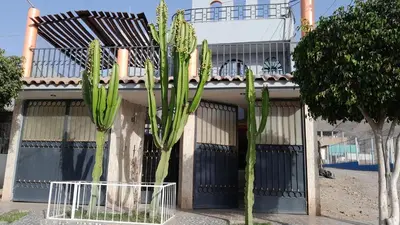 two cactuses in front of a building at El titanic in Nazca