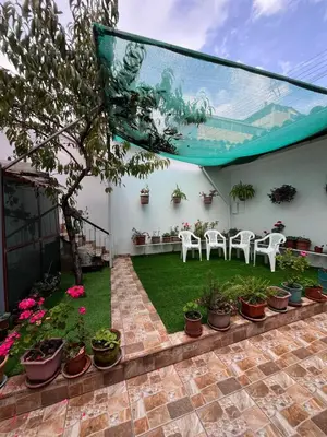a patio with white chairs and potted plants at Allyu Wasi-Chanka in Andahuaylas