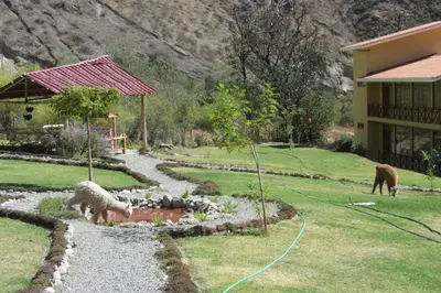 a garden with sheep in the grass next to a house at Fundo Hotel Ayarpongo in Churín