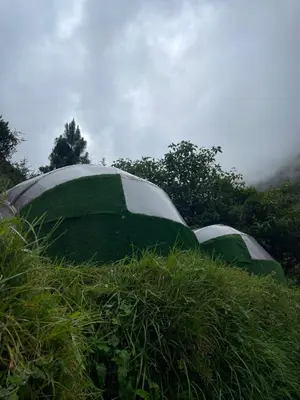two green tents in a field of grass at Chaullay Star Domes in Colcapampa