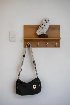 an owl sitting on a shelf next to a purse at Huaral House in Huaral
