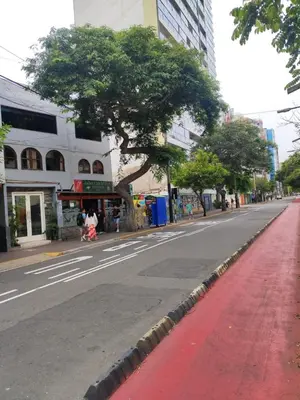an empty street with a tree on the side of the road at Miraflores apartment near Larcomar in Lima