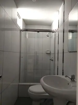 a bathroom with a toilet and a shower and a sink at Hospedaje El Jardín in Lima