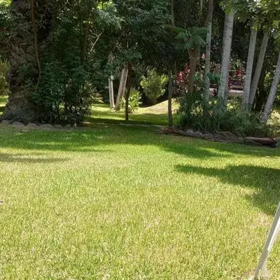 a green lawn with trees in a park at Rustic House, Pool, Grill, Game Area, Campfire Area in Cieneguilla