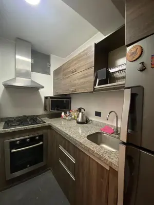 a kitchen with a sink and a stove top oven at Casa Olivo in Lima