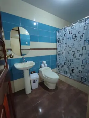 a bathroom with a toilet and a sink and a mirror at Hotel Tambo del Inca in Cajatambo
