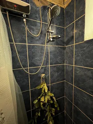 a shower in a bathroom with a plant at Casa Paqocha Garden - Ollantaytambo - Hot Water - Wifi - Cocina Compartida in Ollantaytambo