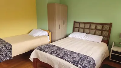 two beds in a room with green walls at Cozy Mini-Apartment-Cusco in Cusco