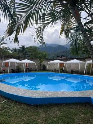 a large blue swimming pool with a palm tree at La Posada de Chango in La Merced