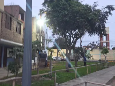 a person standing next to a fence with a tree at Mar y luz in Lima