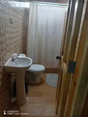 a bathroom with a toilet and a sink at Cabaña VALLE ENCANTADO
