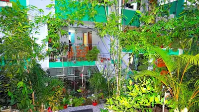 a building with a balcony in the middle of trees at Cómodo alojamiento con jardín y baño privado-Echarati