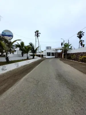 an empty road in front of a building with palm trees at Casa con Piscina privada y a pasos de la playa in Lurín