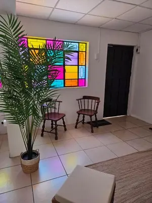 a room with a potted plant and a stained glass window at tiki house in Lima