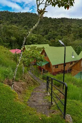 a path leading to a wooden house with a green roof at Montecatini Ecolodge in Oxapampa