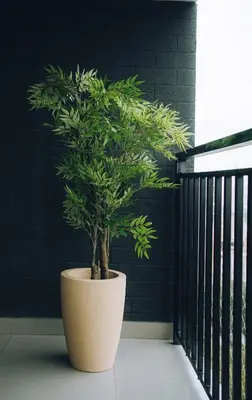 a plant in a pot sitting on a balcony at Luxurious Apartment in the heart of Miraflores in Lima