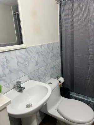 a bathroom with a sink and a toilet and a shower at Private Whole Apartment in Surco close to Barranco in Lima