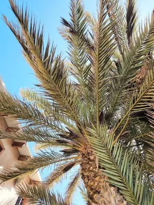 Gallery image of Condominio 4 Estaciones in Paracas