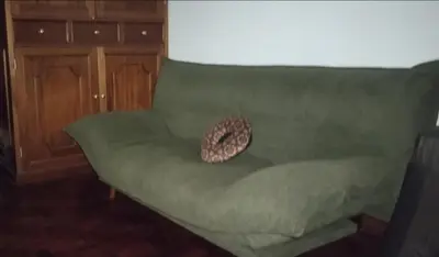 a green couch with a cat sleeping on it at Miraflores Cozy Private Apartment with ocean view in Lima