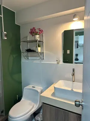 a bathroom with a white toilet and a sink at Bertolotto, divino minidepa smartv wifi y amoblado in Lima